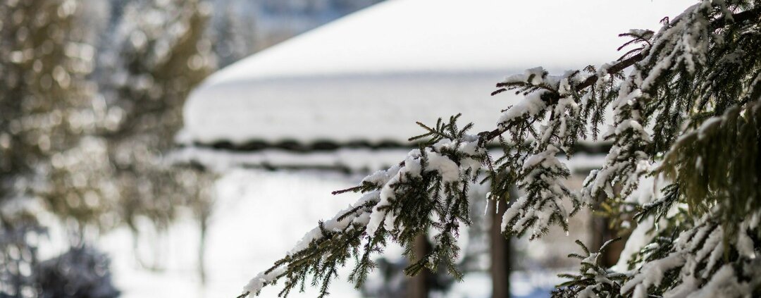 Spa-Hotel Hafling – für Ihre Erholung in Südtirol